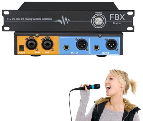 Mikrofon-Feedback-Eliminator – 2 In 2 Out Anti-Heul-Frequenzschalter mit 6,35/XLR-Schnittstelle, akustische Verstärkung 5–14 dB & 5-stufige digitale Unterdrückung