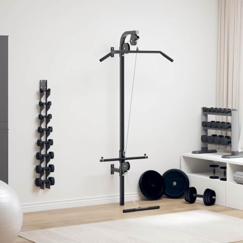 Ordellia Latdragtorn med 2 flaskdragningar för väggmontering av stål, 99 x 53 x 194 cm, 120 kg lastkapacitet, med latsdragstång och kabeldragning för hemmagym styrketräning