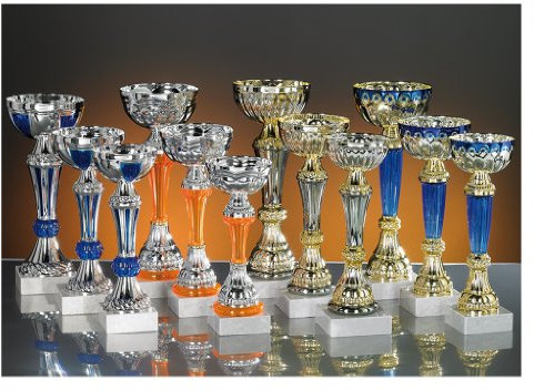 Lot de 12 Coupes trophées recompenses Entre 19 et 24 cm