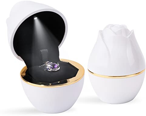 iSuperb Light LED Durante Scatola Portagioie Collana Ciondolo Scatola Regalo Fidanzamento Scatole Espositore per Gioielli Scatola di Gioielli LED Jewelry Gift Box (Bianco)