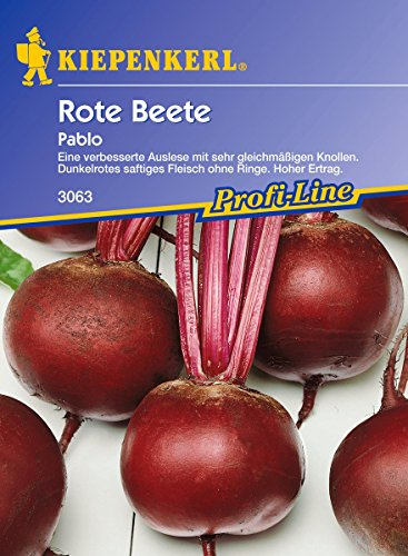 Sperli 3063 Gemüsesamen Rote Beete Pablo, grün