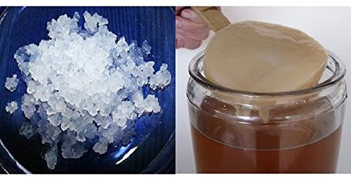 Duo 100g Kefir d'Acqua + SCOBY di Kombucha, Freschi e Vivi - KEFIRALIA | Istruzioni, ricette e assistenza personalizzata incluse · granuli tradizionali e disco SCOBY: due bevande senza latticini
