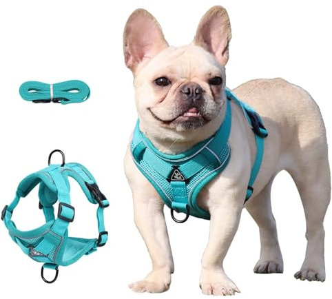 Air-Mesh Atmungsaktiv Brustgeschirr, Hundegeschirr mit Leine, Weich Einstellbar Reflektierend Anti Zug Hundegeschirr, Verstellbare Welpengeschirr für mittelgroße Kleine Grosse Hunde (M)