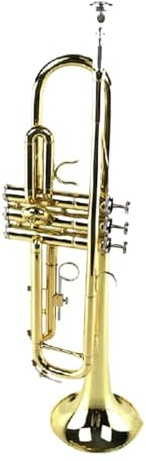 Professionell Trompete Jazzinstrument Trompete Trompete Instrument Trompete Instrument Lack Gold Trompete