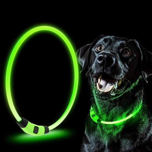 Collar con Luz LED para Mascotas, Tamaño Ajustable, lumioso 7 Colores | Calidad, 7 Colores Intercambiables, Resistente al Agua, Recargable por USB, Seguridad Nocturna