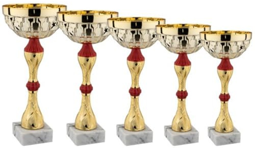 Hole Gadget Coppa Trofeo Personalizzabile 33, 30, 28, 25, 22 cm Singolo o Set Tutti Gli Sport, Calcio, Calcettto, Tennis, Basket, Padel, Fantacalcio, Premiazioni cod 13.241