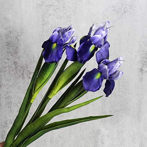 huaao 3PCS Flores Artificiales de Iris Tacto Real, Tallos Largos, Decoración para Arreglos Florales, Ramo de Boda, Foto, Decoración del Hogar, Fiesta, Mesa, Morado