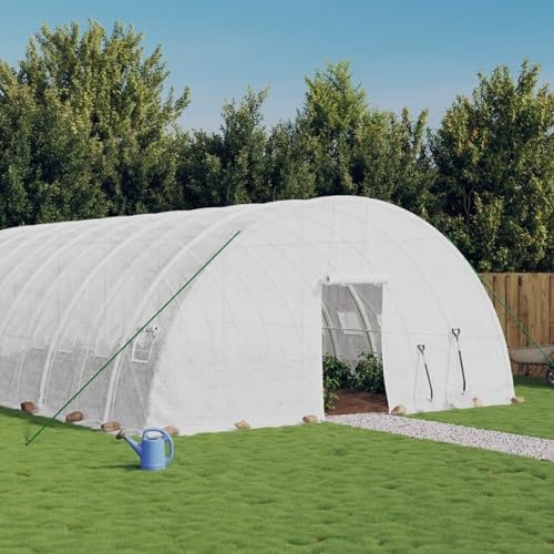 LAPOOH Serra con Telaio in Acciaio Bianco 48 m² 8x6x2,85 m,Serra da Giardino,Serra Orto,Serra per Orto,Serra per Piante,Serra da Giardinaggio(SPU:3188118)
