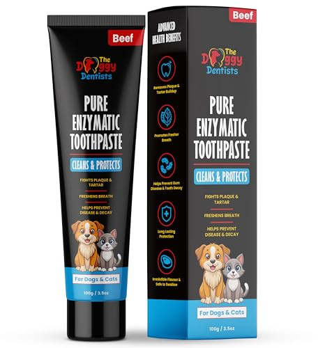 Vet Strength Pure Enzymatic Dog & Cat Toothpaste | 100g Beef Flavour | Enzyme Pet Toothpaste for Tartar Removal, Bad Breath, Teeth Cleaning | Safe for Puppies & Kittens