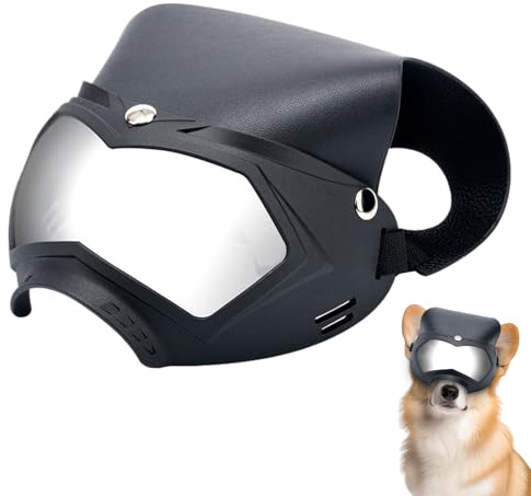 Hundglasögon – hundsolglasögon | hundglasögon anti-UV-skydd | vindtäta solglasögon för hundar | dammtät UV kattsolglasögonshatt | stötsäker hjälm med justerbar rem, avtagbart husdjurstillbehör