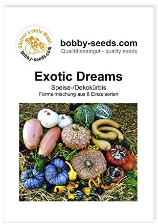 Kürbissamen Exotic Dreams Portion