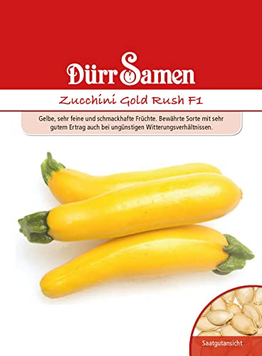 Dürr-Samen - Zucchini Gold Rush F1 Saatgut