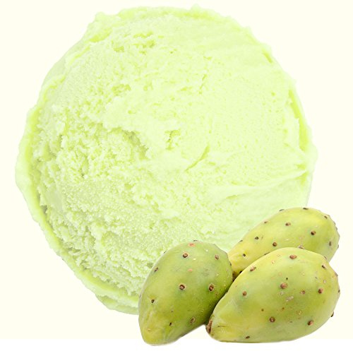 Kaktus Geschmack 333 g Gino Gelati Eispulver für Ihre Eismaschine