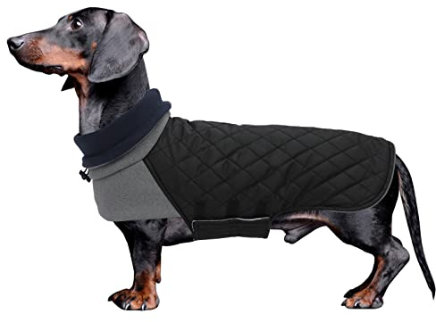 Geyecete Hundemantel Dackel, Dackel Wintermantel, Warmer Quilten Dackelmantel mit Geschirr Loch,Winddicht Rollkragen Hundejacken für kleine Hunde-Schwarz-S | Dackel-Wintermantel, warme Jacke mit weichem hohem Ausschnitt, Kordellöchern, verstellbarem Bauchgurt, für kleine Hunde