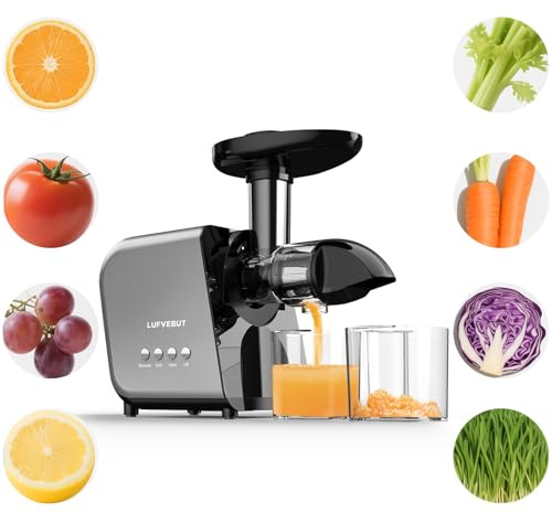 Cold Press Slow Juicer for Fruits & Vegetables Celery Carrot Ginger, Masticating Juicer Machine Soft Hard Mode, Reverse Function,250W Motor, Easy To Clean, Fresh Orange Juice Extractor