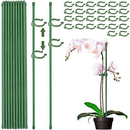 15 Piezas Tutores para Orquídeas Con 30 Clips, Tutor Plantas Plástico, Palitos de Soporte, Estacas de Madera para Plantas (Verde/45)