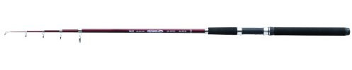 Balzer Edition IM-12 Tele Allround 70 2,70m