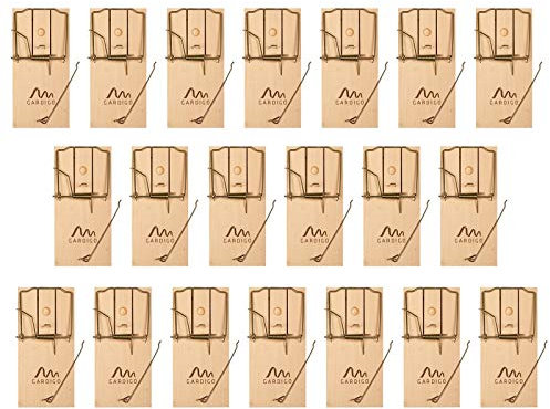 GARDIGO® Rattenfalle Holz - 20er Set I Verfügt über praktisches Köderloch für Rattenköder I Holz-Rattenfalle für Haus und Garten I Wiederverwendbar und Umweltfreundlich I Einfache Handhabung