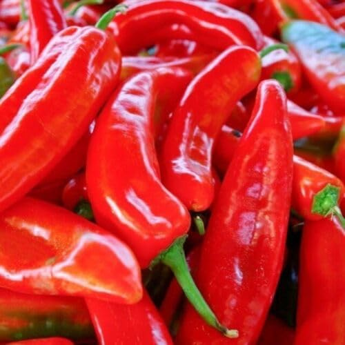 Buy4seeds 50 Seeds Banana Peppers Seeds Vegetable Sweet Marconi Red Easy to Grow Garden