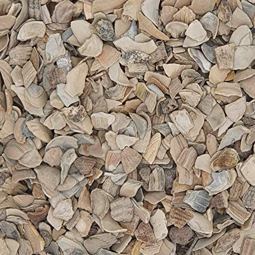 Ostrea Geflügelgrit 4-7mm Muschelschalenschrot 25kg