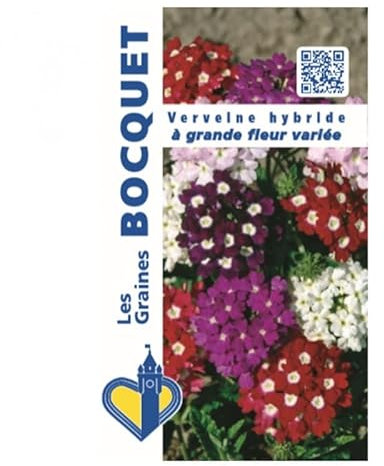 Sachet de graines de Verveine HYB à grande fleur variée - 0,5 g - fleur annuelle - LES GRAINES BOCQUET