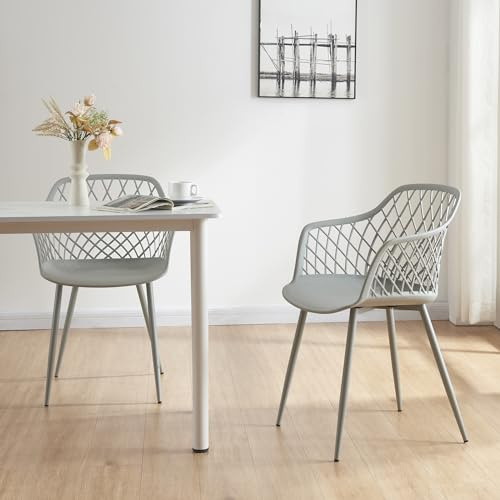 [en.casa] Set de 2 Sillas de Comedor con Respaldo Enrejado Reposabrazos máx. 130 kg Juego de 2 Sillas de Cocina Plástico y Metal 80 x 56 x 52 cm - Gris Claro
