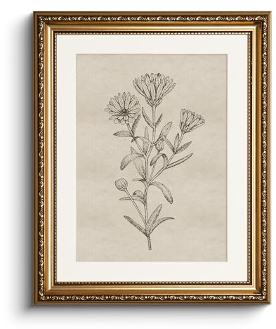 HUARCEY Leinwand Bilder mit Gold Rahmen, klein Vintage Wandbilder, minimalistische botanische Painting, Wand Deko Wohnzimmer Schlafzimmer Badezimmer Küche, Bauernhaus Deko Aesthetic,33x40cm