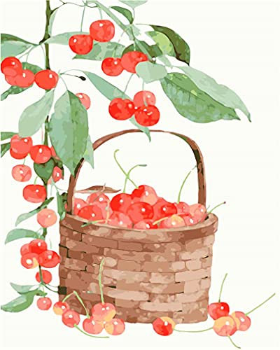 Amiiba DIY Paint by Numbers Kits, Cherry Fruit Basket 16x20 inch Acrylic Painting by Number Wall Art Crafts (Cherry, Without Frame)