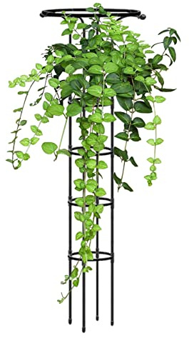 Topfpflanzen-Rankhilfe | Regenschirm-Form Indoor-Pflanzen-Rankhilfe für Kletterpflanzen, Innen-Garten-Rankgitter, Garten-Rankgitter, Blumenstützpfahl, Metalldraht-Pfahl für Topfpflanzen