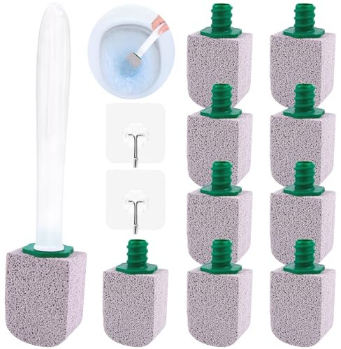 HGRGHH 10 Pezzi Pietra Pomice per la Pulizia, Blocchi di Pietra Pomice per WC con 1 Maniglie e 2 Ganci, Pietra Pomice per la Pulizia della Tazza del WC per Vasche da Bagno, Piscine e Lavandini