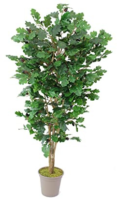 kunstpflanzen-Discount.com Kunstbaum Eiche 150cm mit 525 Textilfaser Blätter und Naturstämme - Künstlicher Eichenbaum mit Früchten