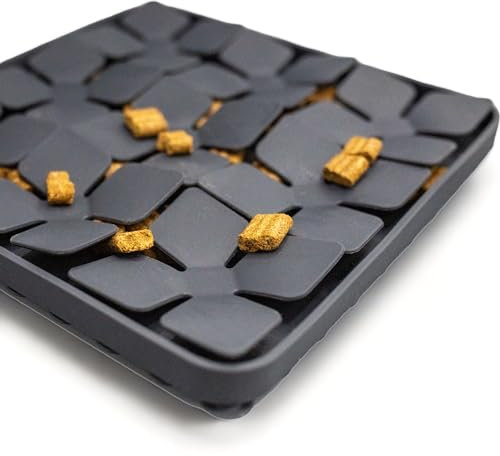 Lucky Hearts Schleck - und Suchmatte Fly (dunkelgrau)