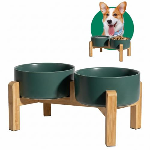 Dubbla upphöjda hundskålar - keramisk hundskål set med halkfri bambuhållare - upphöjd hundskål för mat och vatten - skålar för små och medelstora hundar - 2 x 850 ml