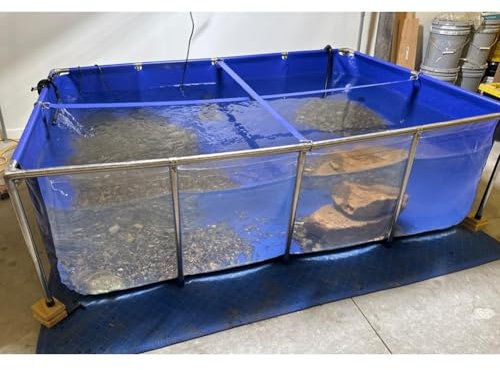 KUANGGE Oberirdischer Koiteich mit Fenster, PVC-Canvas-Auskleidungen mit Stahlrahmen, großes Aquarium-Sammelbecken für die Fisch- und Schildkrötenzucht, leicht zusammenzubauen (140 x 70 x 61 cm)