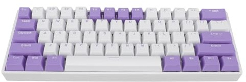 RGB Backlit 61 Keys Mechanical Keyboard, Compact USB Wired Gaming Keyboard with USB C Connection, for 10, Mac, with Blue Switch, Stepped Design