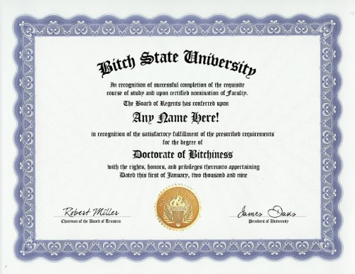 Bitch Bitchiness Degree: Custom Gag Diploma Doctorate Certificate (Funny Customized Joke Gift - Novelty Item)