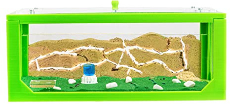 AntHouse.es - Hormiguero de Arena | Kit 3D Inicio Big 30x15x10 cm | Granja de Hormigas Verde | Colonia de Hormigas Incluida