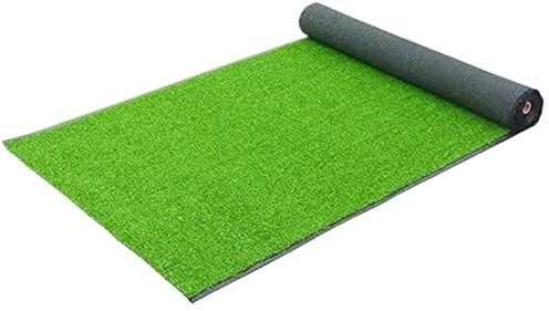 FJOADNVM Gazon Synthetique Exterieur Tapis de Gazon Artificiel 3.3x33 Pieds, Rouleau Tapis synthétique d'entraînement Haute densité, décoration intérieure et extérieure Facile
