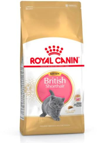 Royal Canin KITTEN British Shorthair Katzenfutter 10 kg, 1er Pack (1 x 10 kg)
