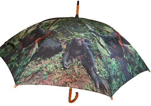 Regenschirm Schimpanse, mit Holzgriff, Schirm, Stockschirm