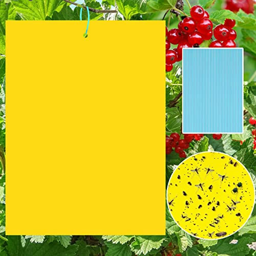 Sunshine smile 40 Lavagne Gialle per Insetti, Trappola Adesiva, Adesivi Gialli su Entrambi i Lati, Trappola Adesiva per Mosche (40-Giallo)
