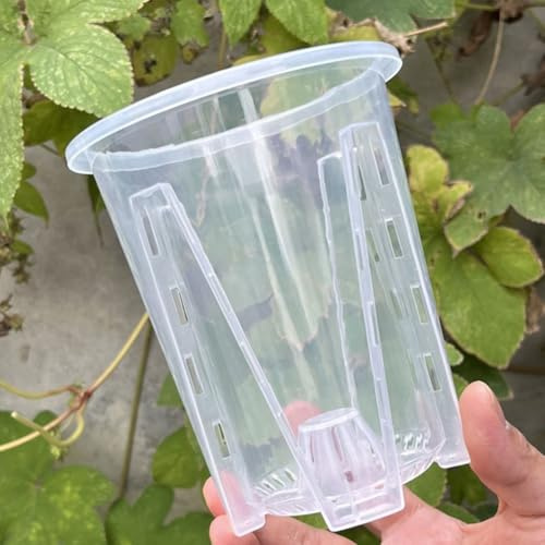 HEBEOT Vasi per orchidee trasparenti, vasi in plastica traspiranti, trasparenti per giardino, balcone, ufficio (12 cm/6 pezzi)