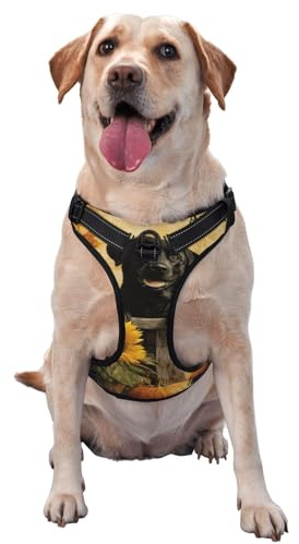 Hundegeschirr, schwarz, Labrador-Kürbisse und Sonnenblumen, kein Ziehen, verstellbar, reflektierend, Oxford, einfache Kontrolle, Größe M und L