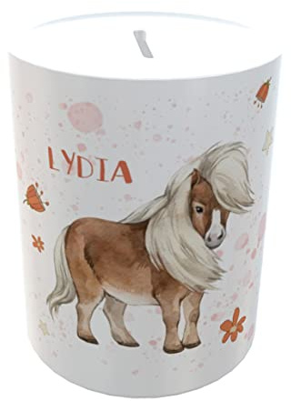 personalisierte Spardose Pony originelle Verpackung für Geldgeschenke Sparschwein Shetlandpony Geschenk Mädchen (Pony)