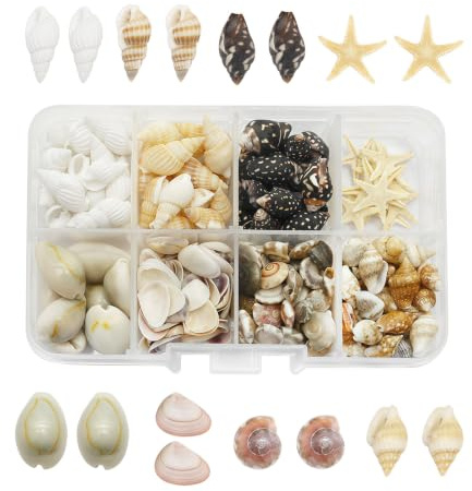 Sukizifa 240 Unidades de Conchas para Manualidades, caracolas Naturales y Estrellas de mar Decorativas, Set de Conchas para proyectos de Manualidades, decoración Playera, Conchas de capiz para