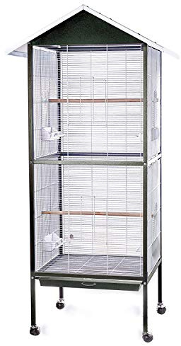 BPS Jaula Grande Metal para Loro Pájaro Pajarera Periquito Canarios con Saltado Comedero 60 * 60 * 167 cm Color Azul/Verde (Verde) BPS-1197VE