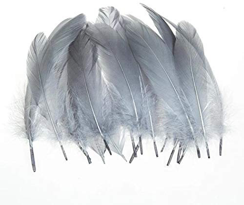 500 StüCk Grau Bastel Gänsefedern Federn ideal als Dekoration zum Karnival für Halloween Fest Masken, Kostüme und Basteln für Kinder,Zubehör für Heimwerker, Traumfänger, Basteln, Hochzeit, Party