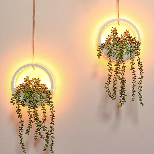 Comtelek Künstliche Hängepflanzen mit Lichtern, künstliche Sukkulenten im Topf, Boho-Wanddekoration, künstliche Perlenschnur mit Umhängeband, für Badezimmer, Wohnzimmer, Zuhause, Balkon, Decke, Weiß,