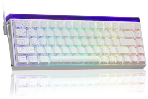 AULA Hero 68 HE Tastiera da gioco meccanica al 60% cablata, tastiera con interruttore magnetico ad effetto Hall, frequenza di polling 8K Hz, tasti PBT stampati lateralmente, retroilluminazione RGB
