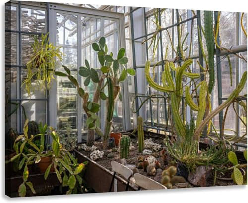 Cactus and succulents growing pots and soil beds greenhouse large Extra Large Canvas Wall Art Decor 24x36 Framed Prints Pictures Poster Painting Artwork for Living Room Bedroom Office Bathroom